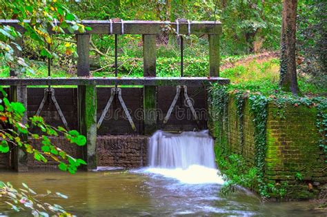 Wooden Dam And Small Streem In Autumnal Forest Stock Photo Image Of