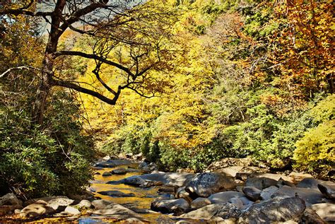 Beautiful Smoky Mountain Water Photograph By Cheryl Davis