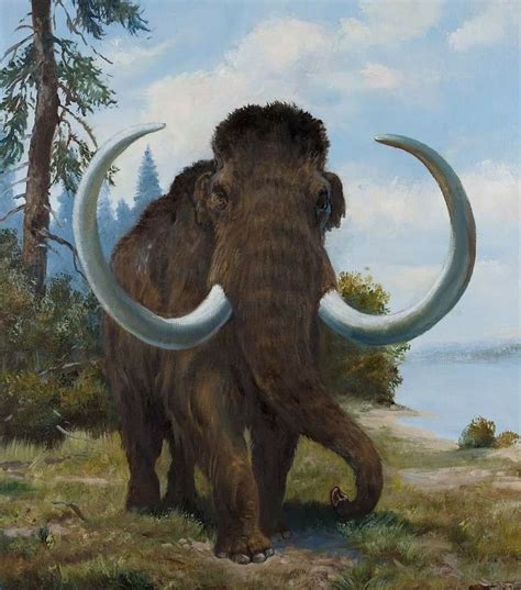 A Painting Of An Animal With Large Horns And Long Tusks Standing In The