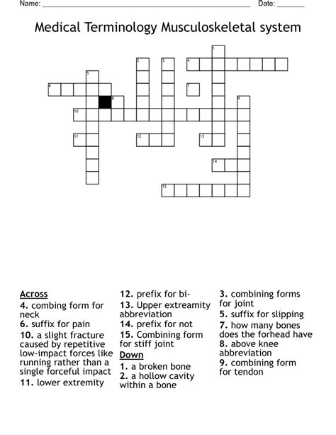 Medical Terminology Musculoskeletal System Crossword Wordmint