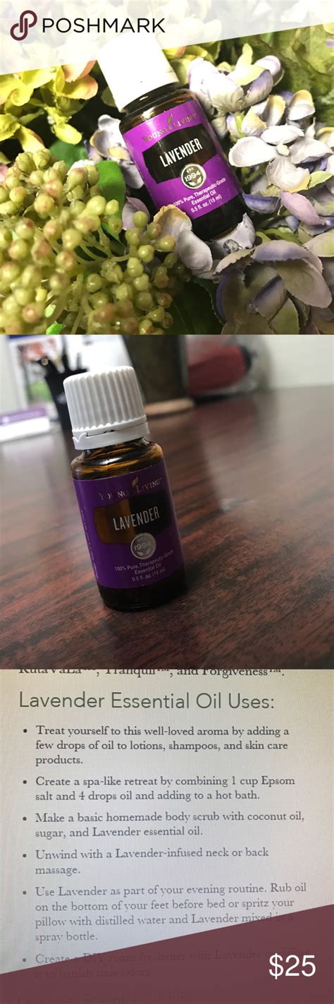 New Yl Lavender Eo Lavender Essential Oil Uses Lavender Essential