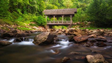 Mountain Stream Wooden Bridge Rocks Green Forest North Carolina