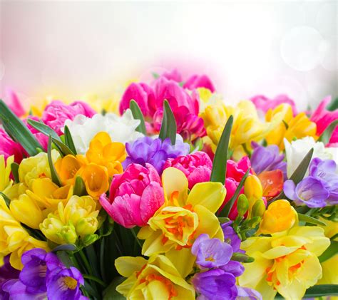Bouquet Of Spring Flowers Wallpapers Wallpaper Cave