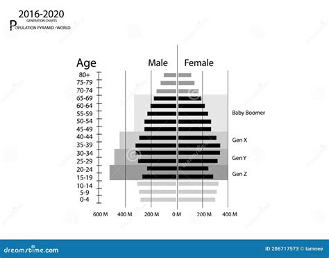 2016 2020 Population Pyramids Graphs With 4 Generation Stock Vector