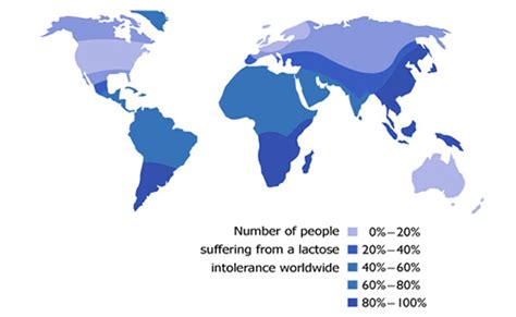 Lactose Intolerance Map