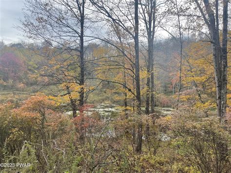 Honesdale, Wayne County, PA Undeveloped Land for sale Property ID