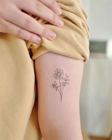13 Daisy Tattoo Designs Ideas Daisy Tattoo Daisy Tattoo Designs Tattoo