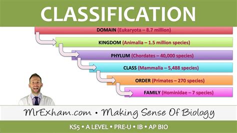 Classification Classification Systems Post 16 Biology A Level Pre
