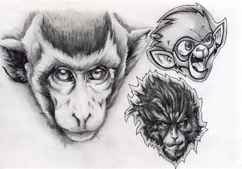 Monkey Sketch By Mjwatson On Deviantart