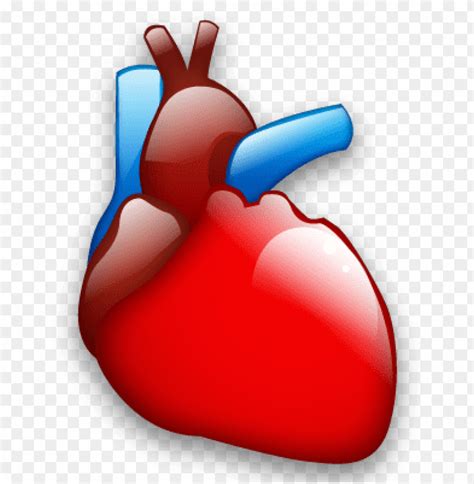 Free Heart Organ Svg 193 Svg Png Eps Dxf File