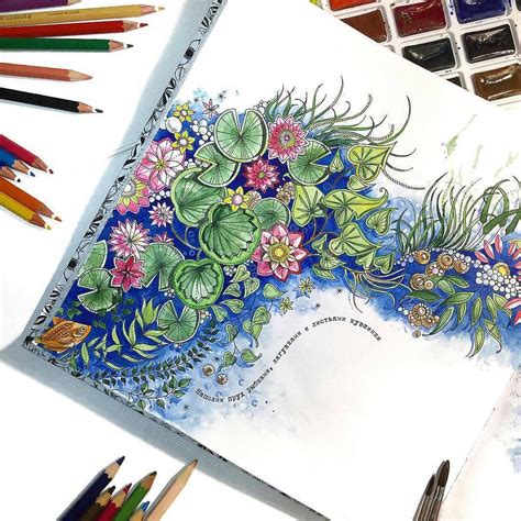 So i've retouched with post color paints and added small starts besides owl. coloring inspiration The Secret Garden … | Secret garden ...