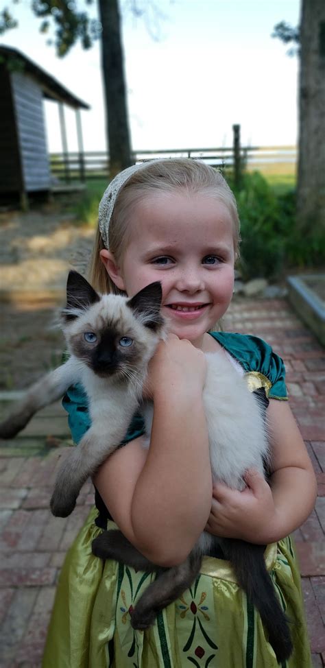 A Princess And Her Kitten Smithsonian Photo Contest Smithsonian