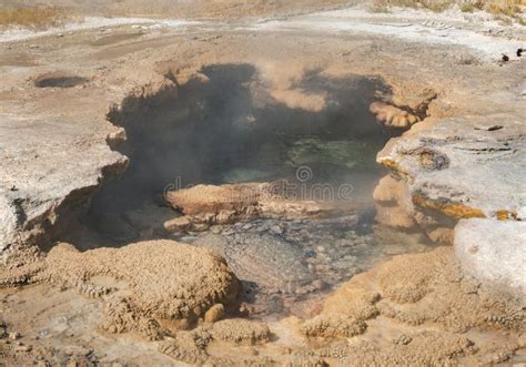 Hot Springs And Gushing Geysers At Yellowstone National Park Wilderness Area Atop A Volcanic Hot