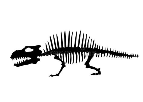 Vector Silhouette Of Dinosaurs Skeleton Hand Drawn Dino Skeleton Stock