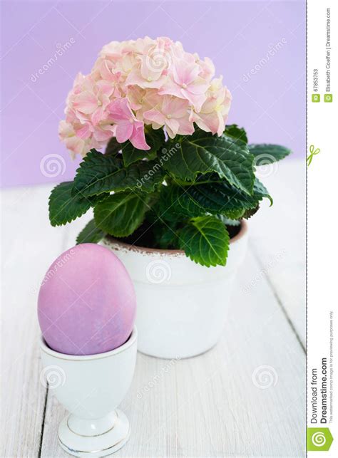 Easter Egg And A Flower Stock Image Image Of Dyed Easter 67853753