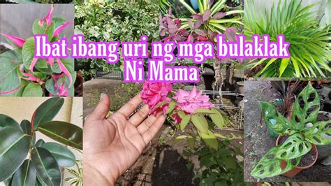 Ibat Ibang Uri Ng Mga Bulaklak Ni Mama Planting Flowers Youtube