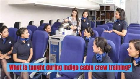 Indigo Cabin Crew Training Process As Fresher Full Details
