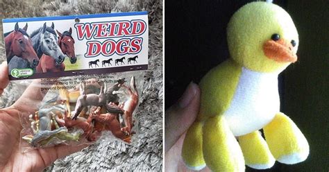Hysterical Toy Design Fails That Are So Bad You Won T Stop Laughing Bouncy Mustard