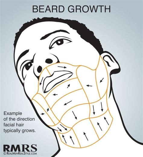 Shave Maps Infographic Which Direction Do You Shave Your Face Face