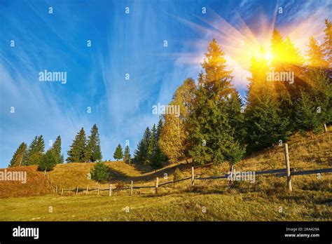 The Mountain Autumn Landscape With Colorful Forest Stock Photo Alamy