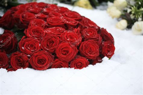 Red Rose Bouquet In The Snow — Stock Photo © Portosabbia 1696885