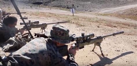A look inside the first 2 weeks of US Marine Corps Scout Sniper training | American Military News