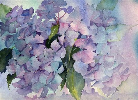 Posts About Hydrangea On Wildwood Watercolors Hydrangea Painting