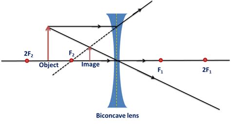 These two lenses display distinct properties and have. Images Formed by Lenses: Concave & Convex, Videos ...