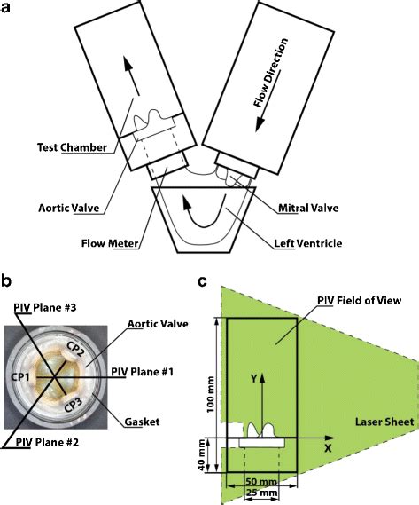 Experimental System Schematic Of The Flow Loop A Definition Of Piv