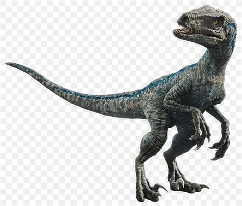 Velociraptor Lego Jurassic World The Indominus Escape Stygimoloch Dinosaur Blue Png 968x826px