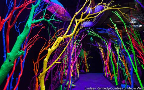 Meow Wolf Immersive Art And The Embodiment Of The Psychedelic Life