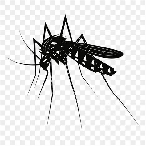 Mosquito Png Images Free Photos Png Stickers Wallpapers