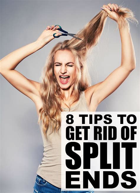 8 Tips To Teach You How To Get Rid Of Split Ends