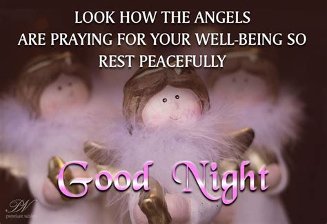 Good Night The Angels Are Praying For Your Well Being Good Night