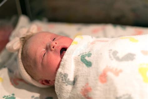 Newborn Baby In Hospital Sleeping In Bassinet Stock Image Image Of