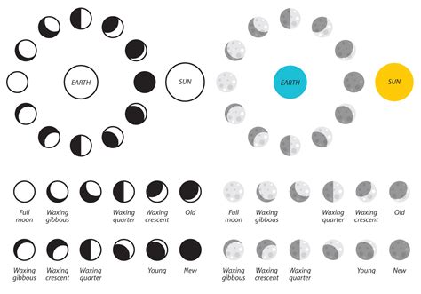 Moon Phases Vector Icons 107390 Vector Art At Vecteezy