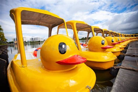 Yellow Duck Pedal Boat In Park Stock Photo Image Of Landscape