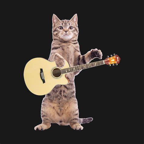 Cat Playing Guitar Cat Guitar T Shirt Teepublic