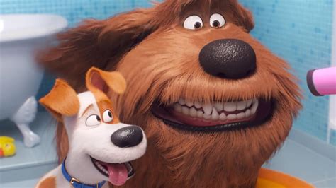 The Secret Life Of Pets 2 Movie Review Kids Only Affair Gold Coast