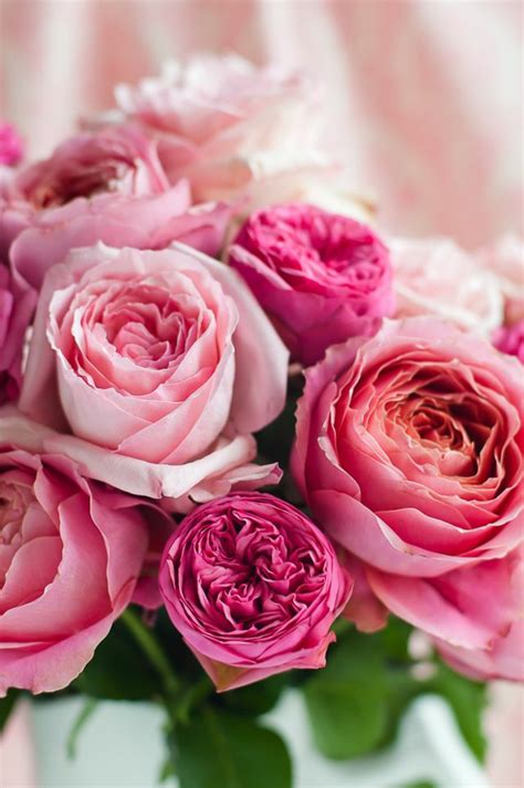 A bouquet of roses is perfect for almost any occasion. La signification des roses, quelle couleur de roses offrir