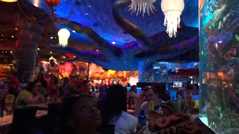T Rex Café Restaurant Orlando Downtown Disney Hd Youtube