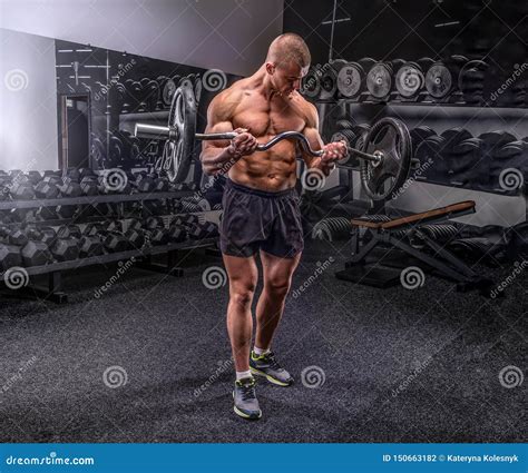 Bodybuilder Lifting Barbell Stock Photo Image Of Exercising