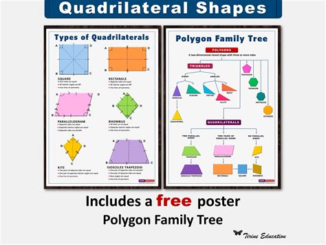 Types of Quadrilaterals Plus Free Polygon Family Tree Poster - Etsy
