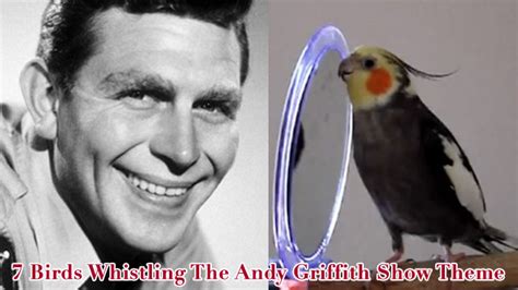 7 Birds Whistling The Andy Griffith Show Theme Mandatory