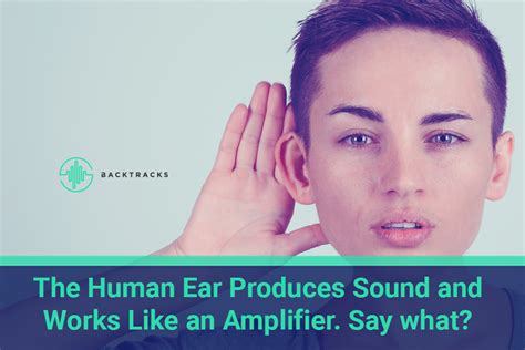 The Human Ear Produces Sounds Ears As Finely Tuned Instruments That
