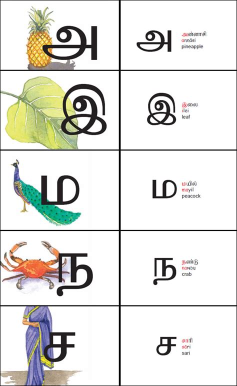 Tamil Alphabet Chart With Sinhala