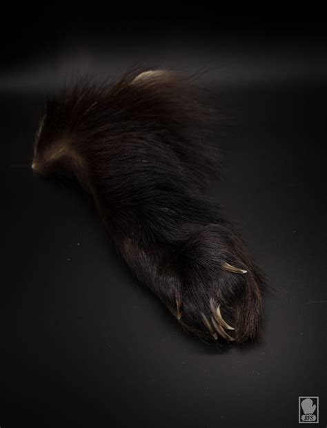 Wolverine Paws — Boundary Fur Sewing