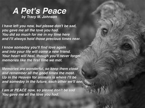 A Pets Peace Pet Loss Poem Pet Loss Quotes Dog Quotes Dog Memorial