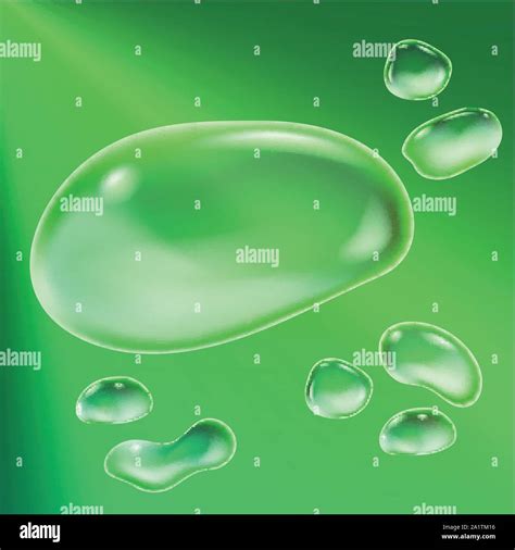 Background With Water Drops Of Different Forms Vector Illustration