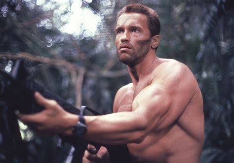 Arnold Schwarzenegger Bodybuilding Wallpapers Posters And Pictures HD